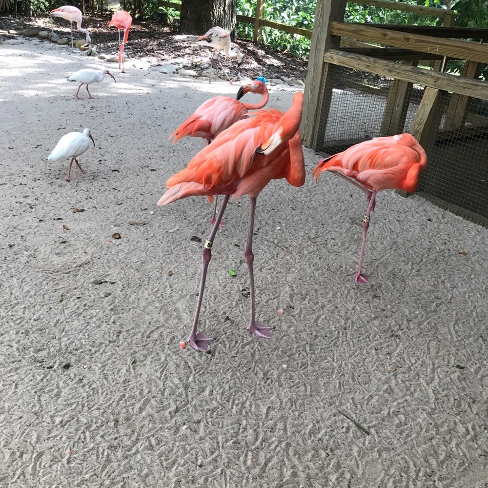 Meet your Posher, Jocelyn